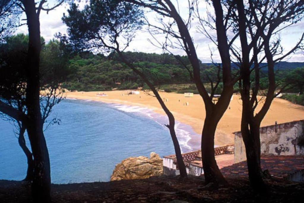 פלאמוס Calma S'Alguer Luxury Beach Apartment מראה חיצוני תמונה